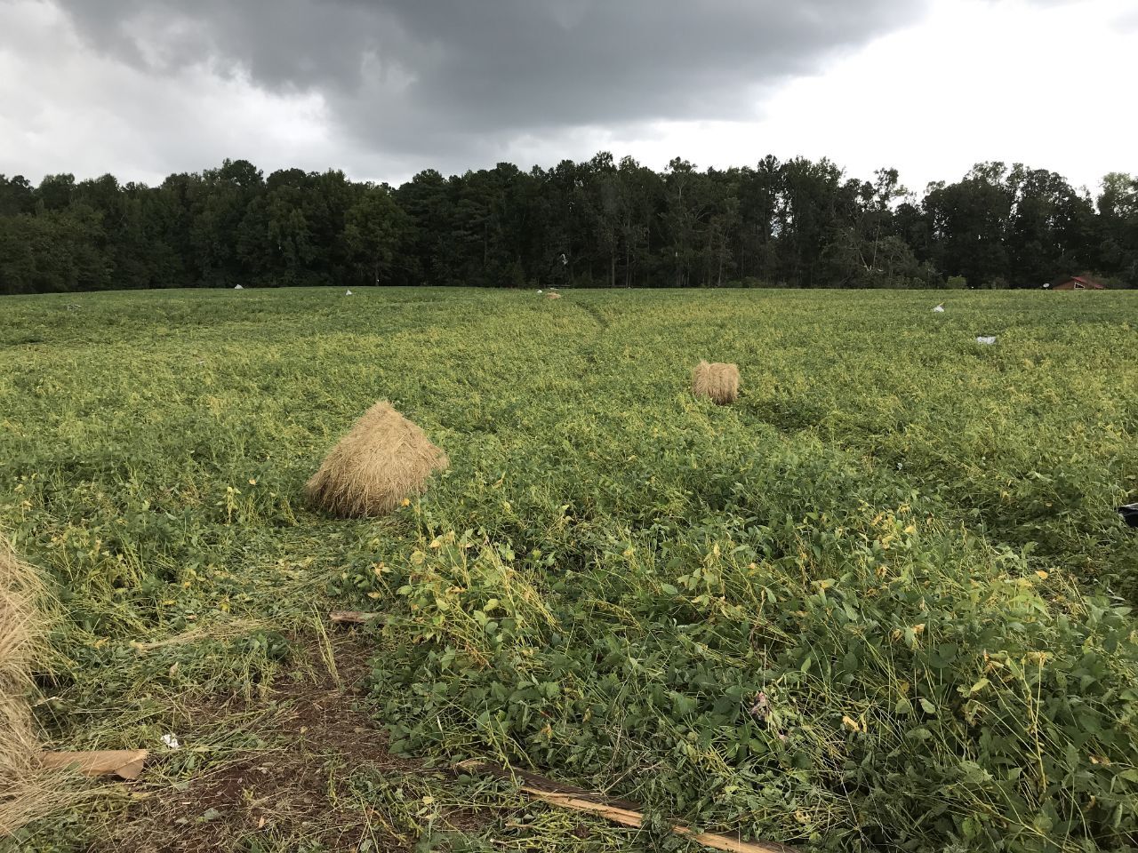 Hanover County: Sept. 17, 2018